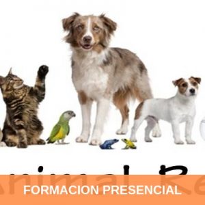 Formación Terapeuta Energético de Animales