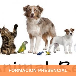 Formación Terapeuta Holístico de Animales