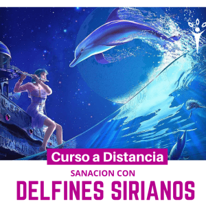 Sanación con Delfines Sirianos