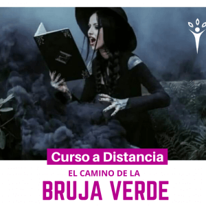 El camino de la Bruja Verde