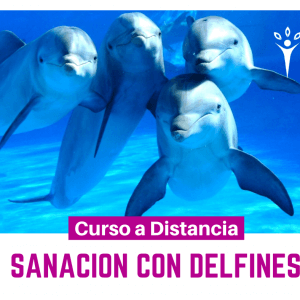 Sanación con Delfines