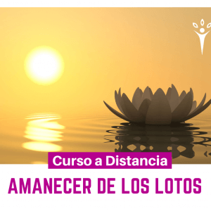 El amanecer de los Lotos