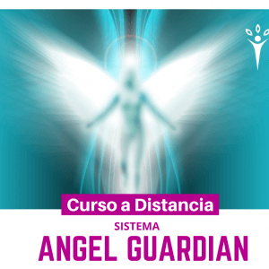 Sistema Angel Guardián