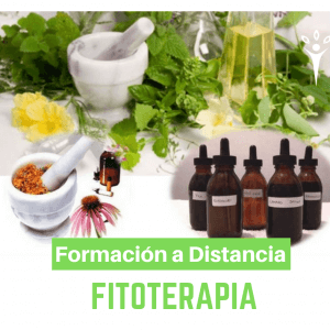 Formación en Fitoterapia (A distancia)