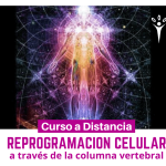 Reprogramación celular a través de la columna vertebral