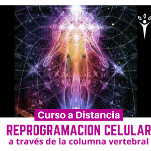 Reprogramación celular a través de la columna vertebral
