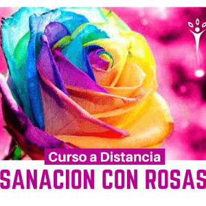 Sanación con Rosas