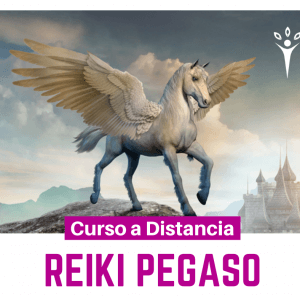 Reiki Pegaso