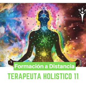 Terapeuta Holístico 11º