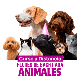 Flores de Bach para Animales