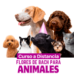 Flores de Bach para Animales