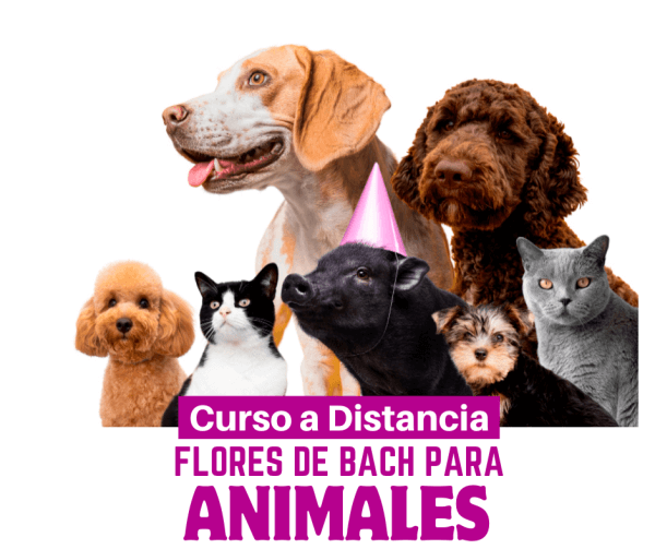 Flores de Bach para Animales