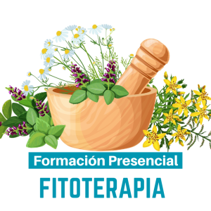 Formación en Fitoterapia