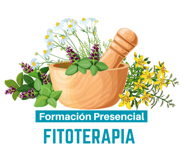 Formación en Fitoterapia