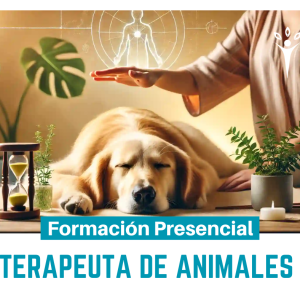 Formación Terapeuta Energético de Animales