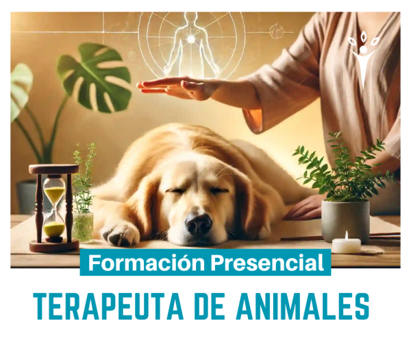 Formación Terapeuta Energético de Animales