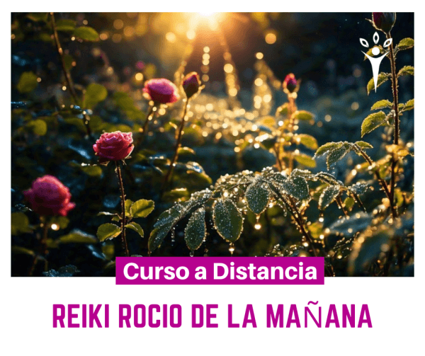Reiki Rocío de la mañana